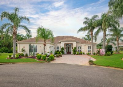 exterior of luxury home with palm tree use